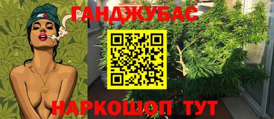 МДПВ Краснознаменск
