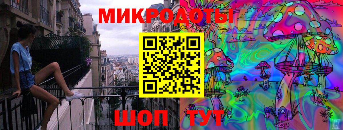 Псилоцибиновые грибы прущие грибы Кириши