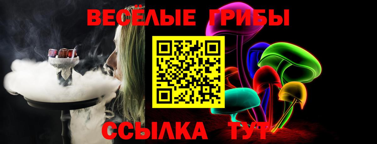 Галлюциногенные грибы MAGIC MUSHROOMS  Галлюциногенные грибы GOLDEN TEACHER  Вход с VPN  Кириши 